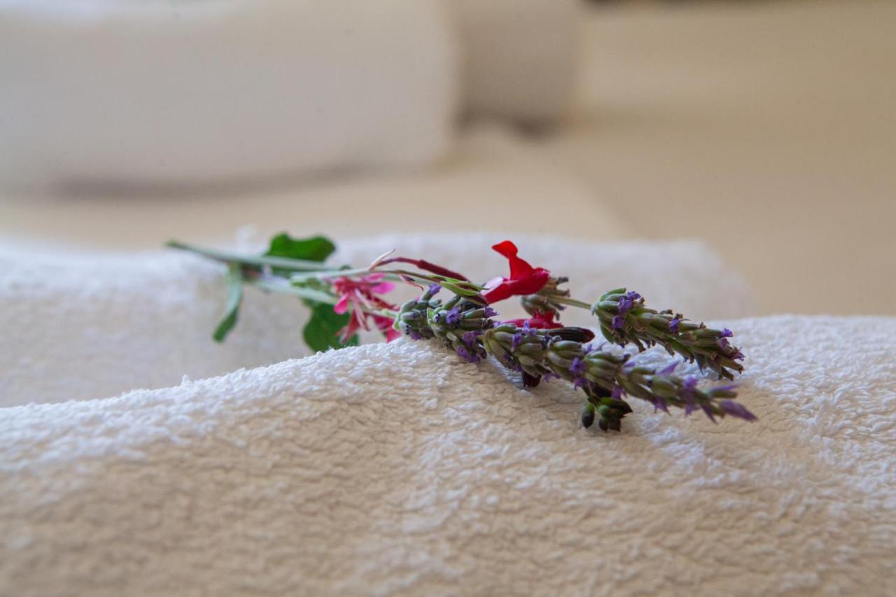 Hotel Loula Rooms And Apartments Kamena Wurla Zewnętrze zdjęcie